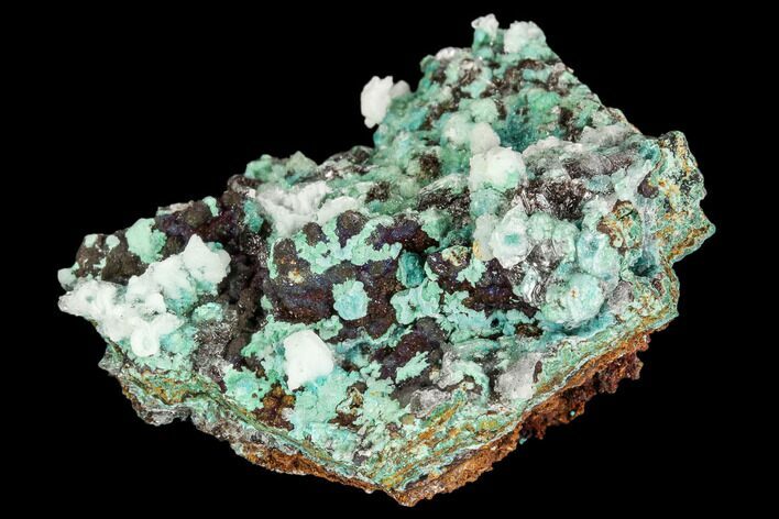 Rosasite, Aurichalcite and Calcite Crystal Association - Utah #109808